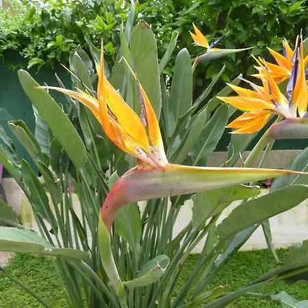 モリエール ホテル 3*