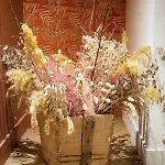Moliere Hotel